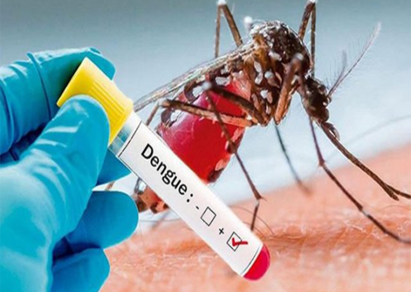 Cortés reporta 175 casos de dengue en lo que va del año