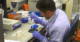 Honduras inicia ensayo «Solidaridad Plus»