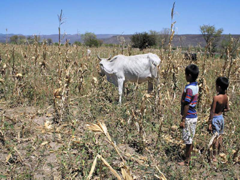 Fondo Verde del Clima aprueba financiamiento para el corredor seco de Centroamérica