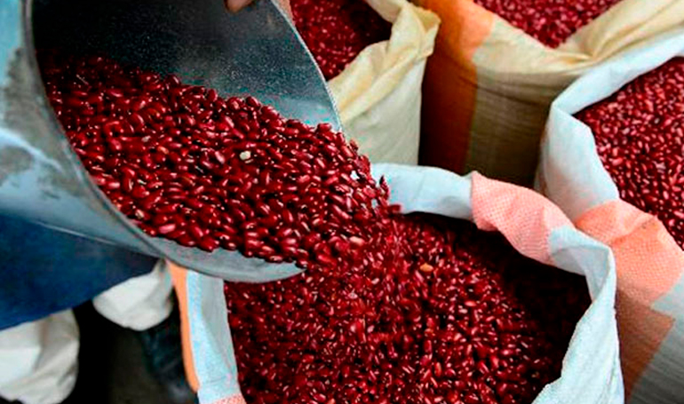 Titular de la SAG: No se vaticina escasez de granos básicos Titular de la SAG: No se vaticina escasez de granos básicos