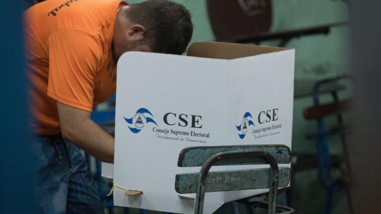 En ausencia de la OEA y la UE ¿Quién observará las elecciones en Nicaragua? En ausencia de la OEA y la UE ¿Quién observará las elecciones en Nicaragua?