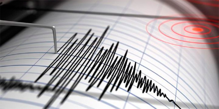 Sismo de magnitud 7.5 sacude selva norte de Perú