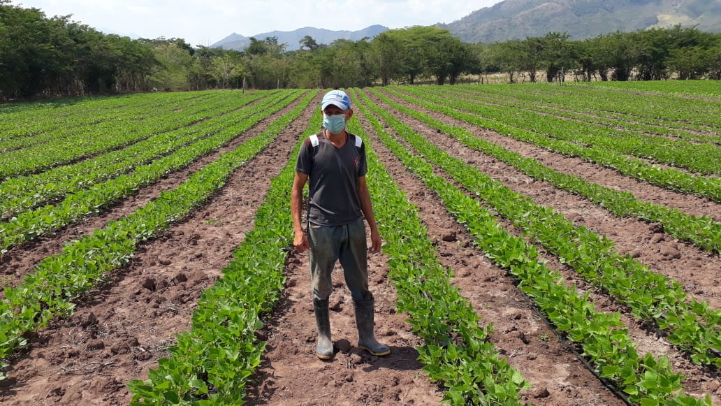 Invest-H administrará 300 millones de dólares que se invertirán en el sector agrícola Invest-H administrará 300 millones de dólares que se invertirán en el sector agrícola