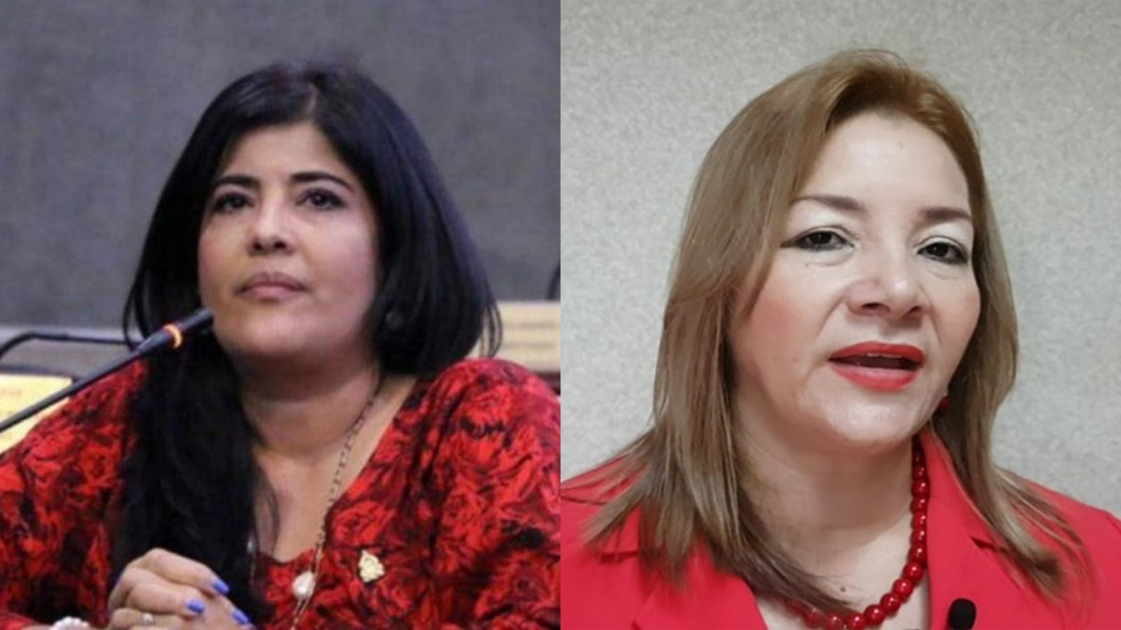 Waleska Zelaya querella a la candidata a diputada por Libre, Aracely Flores  