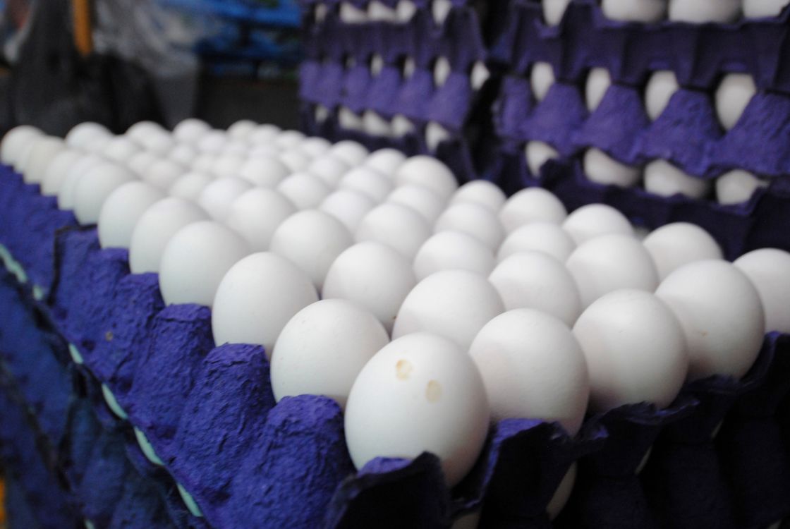 Protección al Consumidor: No se ha autorizado ningún incremento al precio del huevo