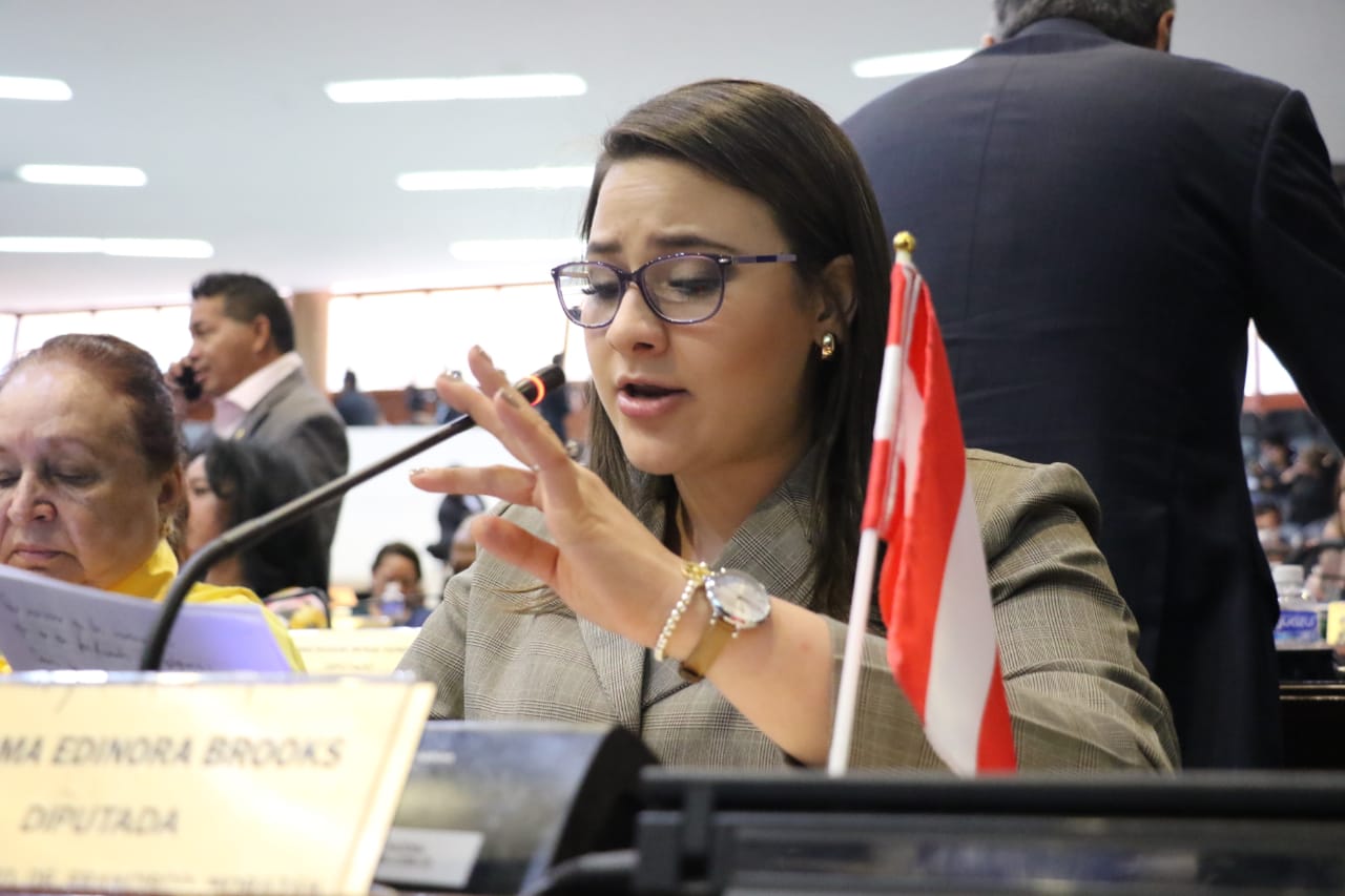 Diputada Liberal califica de prematuro el apoyo de su bancada a Libre para nombrar presidencia del CN