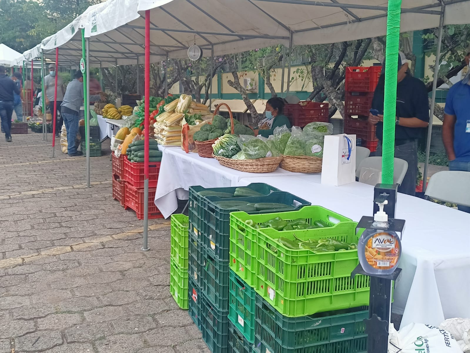 En la SAG Instalan “feria navideña ” con productos de la temporada, frescos y a precios accesibles En la SAG Instalan “feria navideña ” con productos de la temporada, frescos y a precios accesibles