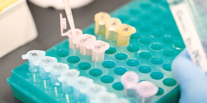 COVID-19: la vacuna vegetal que se estudia en la Argentina mostró 71% de eficacia COVID-19: la vacuna vegetal que se estudia en la Argentina mostró 71% de eficacia