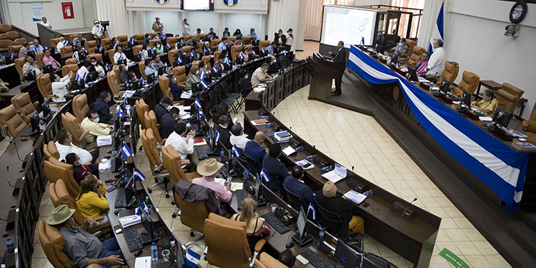 Servicio Holandés de Cooperación al Desarrollo anunció que cesará sus operaciones en Nicaragua a partir del 1 de enero de 2022 Servicio Holandés de Cooperación al Desarrollo anunció que cesará sus operaciones en Nicaragua a partir del 1 de enero de 2022