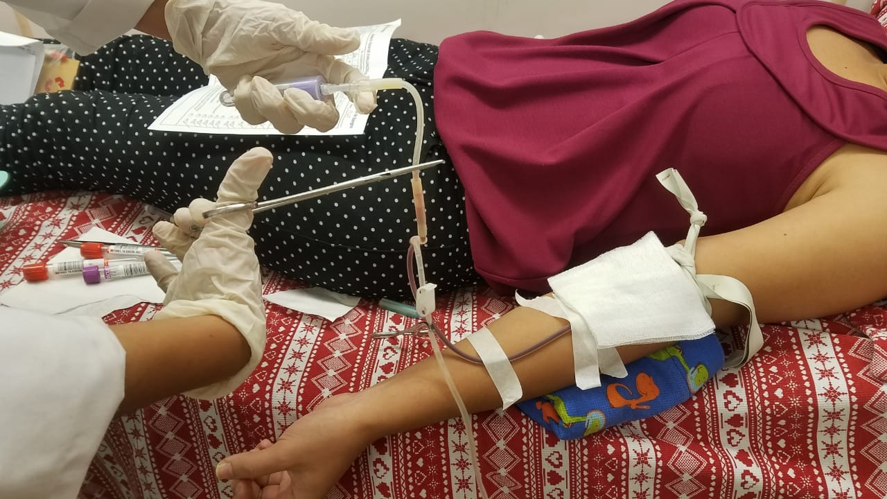 Cruz Roja Hondureña y la UNAH inician campaña de captación de sangre para esta temporada navideña Cruz Roja Hondureña y la UNAH inician campaña de captación de sangre para esta temporada navideña