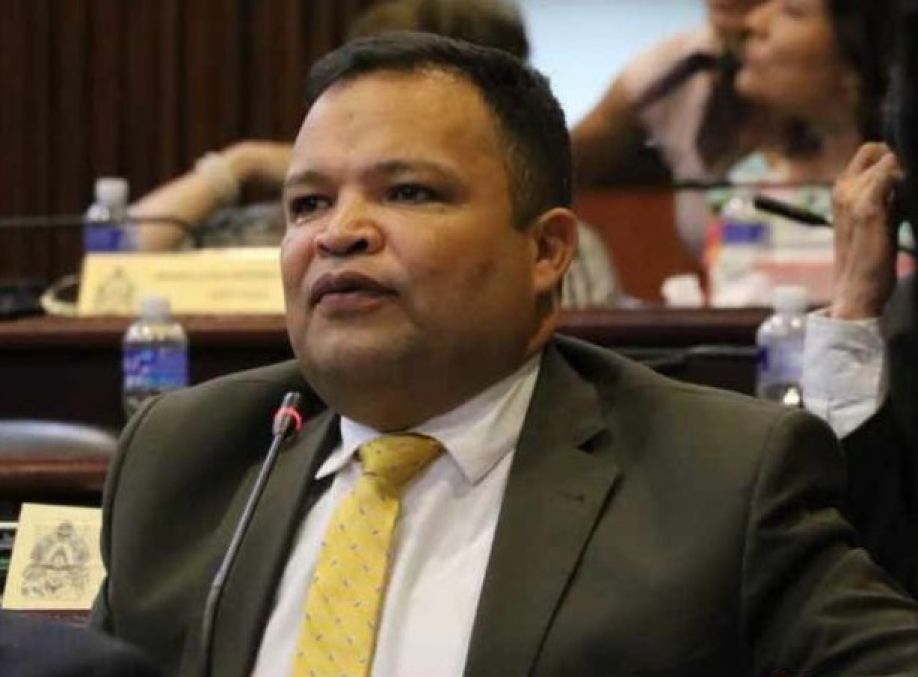 Jari Dixon: “Diputado que se ausente del CN no tendrá salario” Jari Dixon: “Diputado que se ausente del CN no tendrá salario”