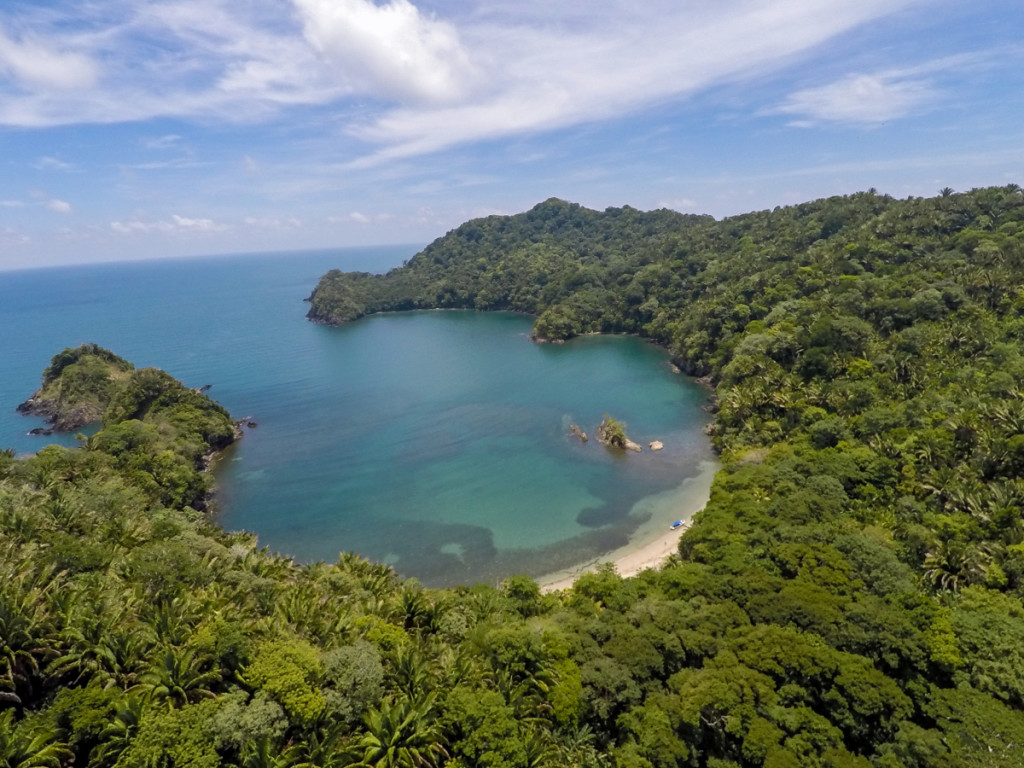 MP presenta requerimiento fiscal por fraude y falsificación de documentos por titulación de predios en la zona núcleo del Parque Nacional “Blanca Jeannette Kawas” MP presenta requerimiento fiscal por fraude y falsificación de documentos por titulación de predios en la zona núcleo del Parque Nacional “Blanca Jeannette Kawas”