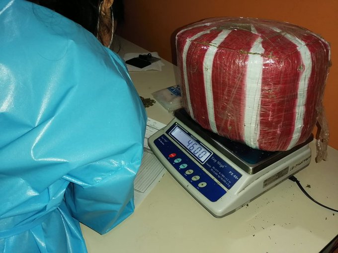 Practican peritaje a más de 1,400 kilos de marihuana incautada a “narcomilitares” en Olancho Practican peritaje a más de 1,400 kilos de marihuana incautada a “narcomilitares” en Olancho