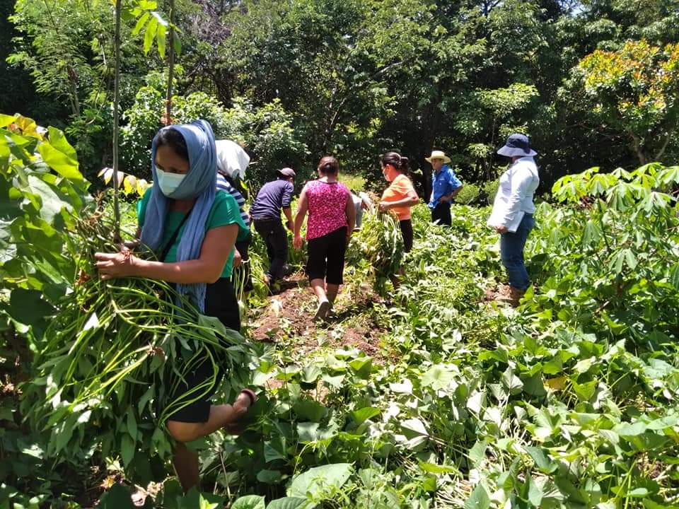 SAG y Agencia Andaluza fortalecen relaciones de Cooperación para beneficiar a productores SAG y Agencia Andaluza fortalecen relaciones de Cooperación para beneficiar a productores