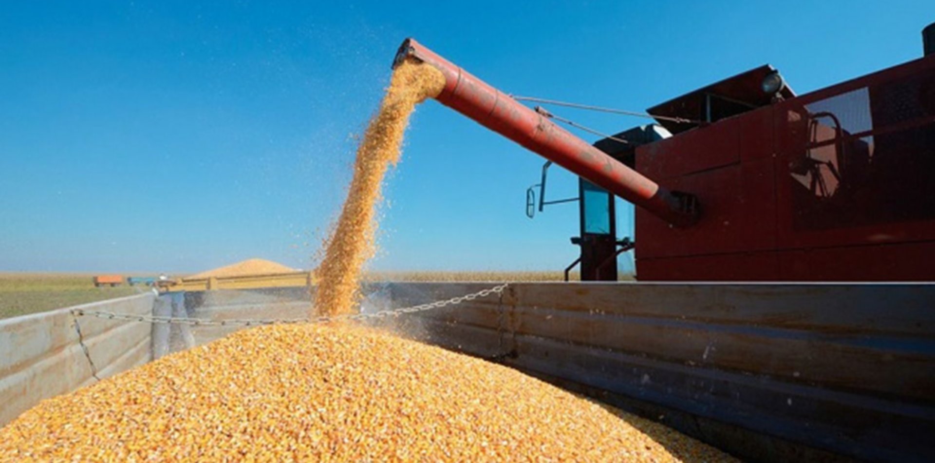 Argentina crea fondo de trigo para luchar contra la inflación Argentina crea fondo de trigo para luchar contra la inflación