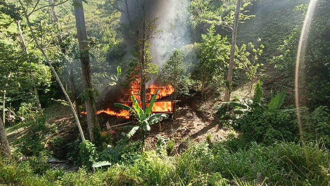 En Colón erradican dos plantaciones de coca y destruyen un narcolaboratorio