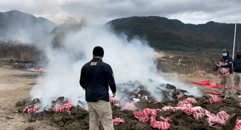 FESCCO y DLCN incinerarán más droga el próximo viernes