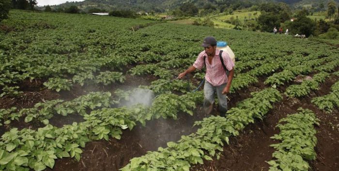 Argentina cooperará en agricultura con El Salvador, Guatemala y Honduras Argentina cooperará en agricultura con El Salvador, Guatemala y Honduras