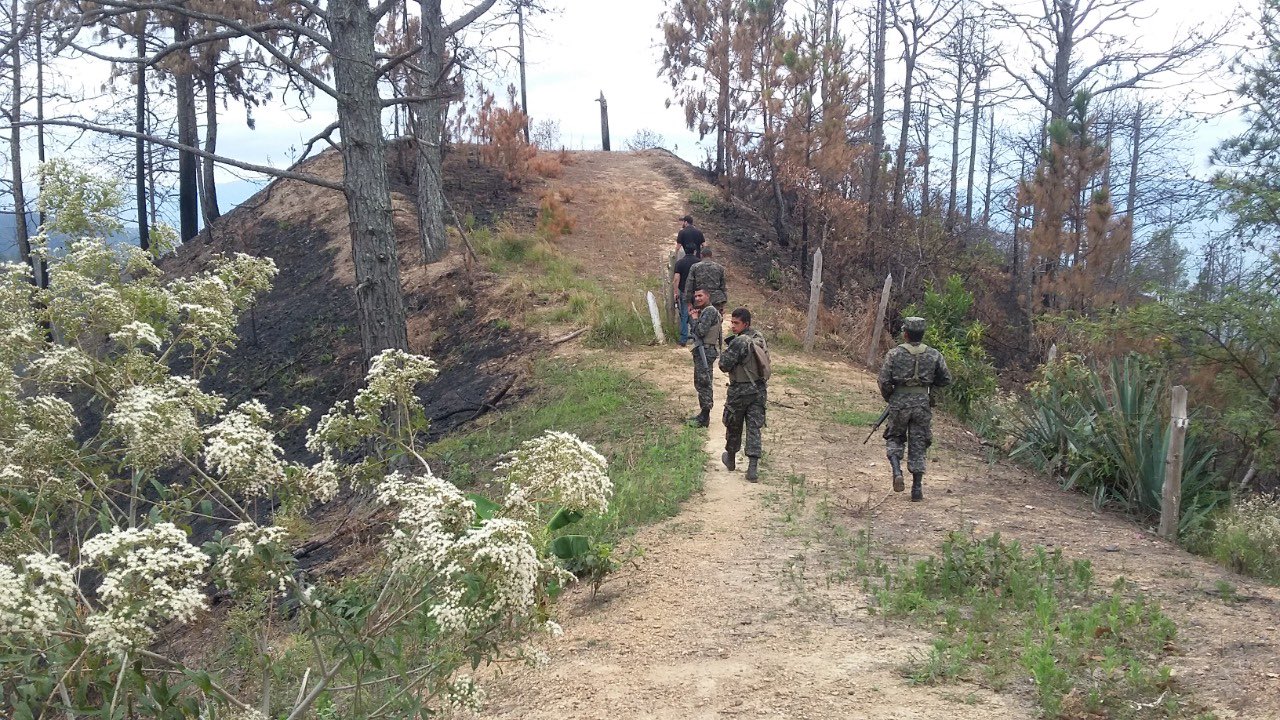 Seis acusados en Comayagua, tres de ellos detenidos en operativo forestal