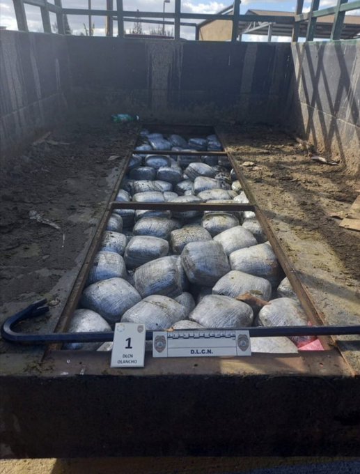 Prisión preventiva a dos presuntos traficantes de 550 libras de marihuana