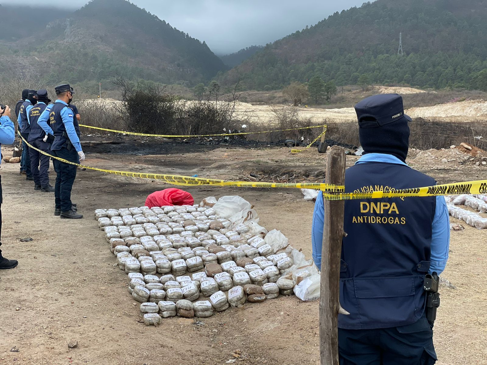 Autoridades incineran más de 838 libras de marihuana en la capital Autoridades incineran más de 838 libras de marihuana en la capital