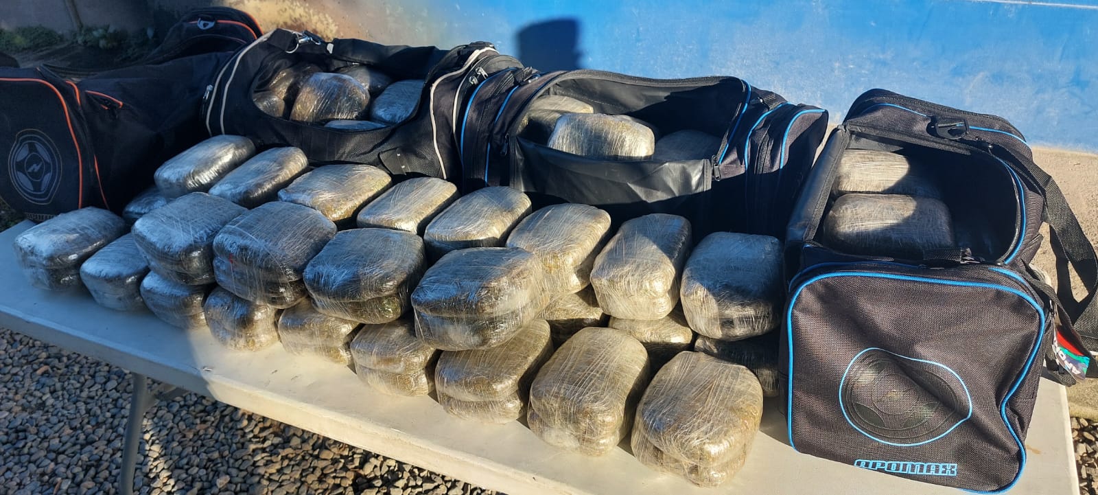 Camuflada en maletas encuentran unas 120 libras de marihuana en Atlántida Camuflada en maletas encuentran unas 120 libras de marihuana en Atlántida