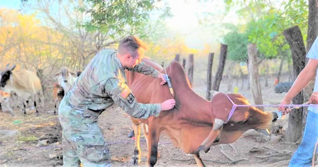 SENASA y Fuerza de Tarea Bravo de EE UU realizan jornada de vacunación bovina