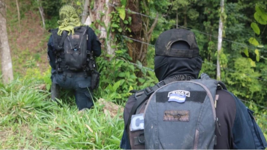 Autoridades ubican narcolaboratorio en reserva biológica de Colón