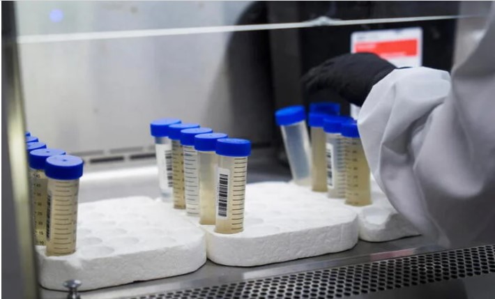 EEUU: Detectan 100 casos de contagio de humanos a animales