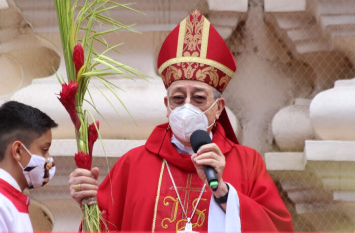 Cardenal Rodríguez lamenta la violencia en el mundo en el Domingo de Ramos