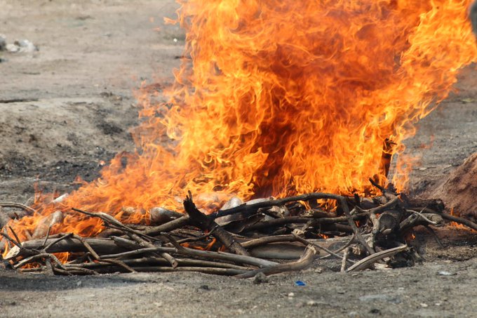 Incineran 80 libras de marihuana decomisada a ocupantes de vehículo en Pespire