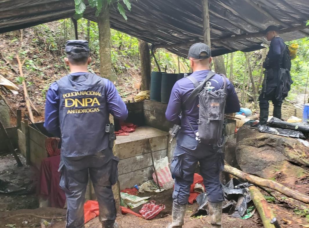 Policía Nacional ubica cinco plantaciones de hoja de coca y dos narcolaboratorios en Colon