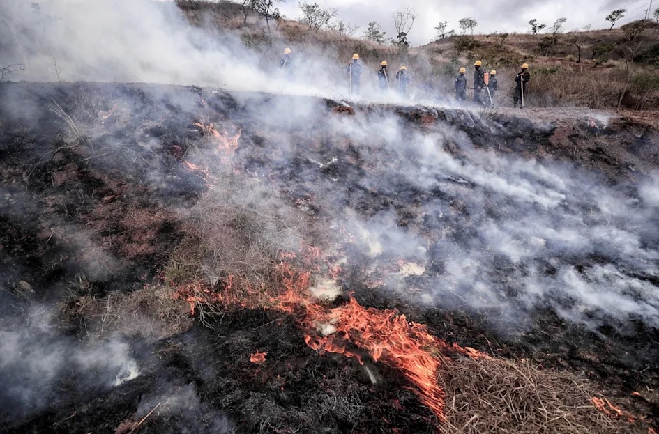 Honduras celebra el Día de la Tierra afectada por incendios y escasez de agua