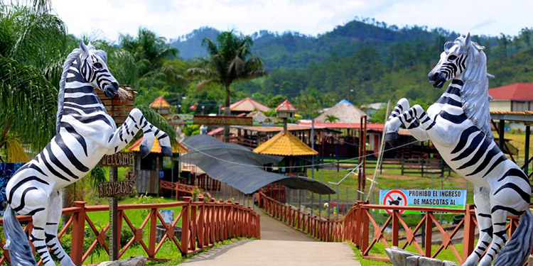 ¡EXCLUSIVA! Director de la OABI revela la venta ilegal de crías de animales hasta por $50,000 en Zoológico Joya Grande