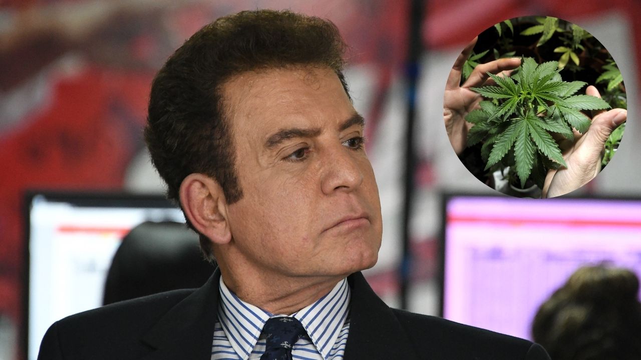 Salvador Nasralla: “Cultivo de Cannabis solo sería para exportación y no para consumo en el país” Salvador Nasralla: “Cultivo de Cannabis solo sería para exportación y no para consumo en el país”