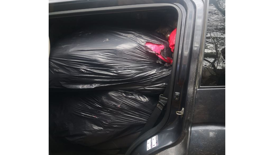 Decomisa más de 1,000 libras de supuesta marihuana en El Paraíso Decomisa más de 1,000 libras de supuesta marihuana en El Paraíso