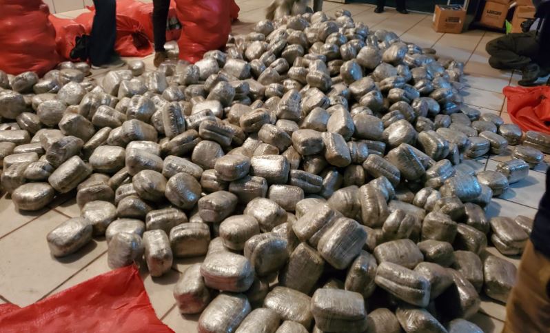 Decomisan 2,453 paquetes de supuesta marihuana en Choluteca