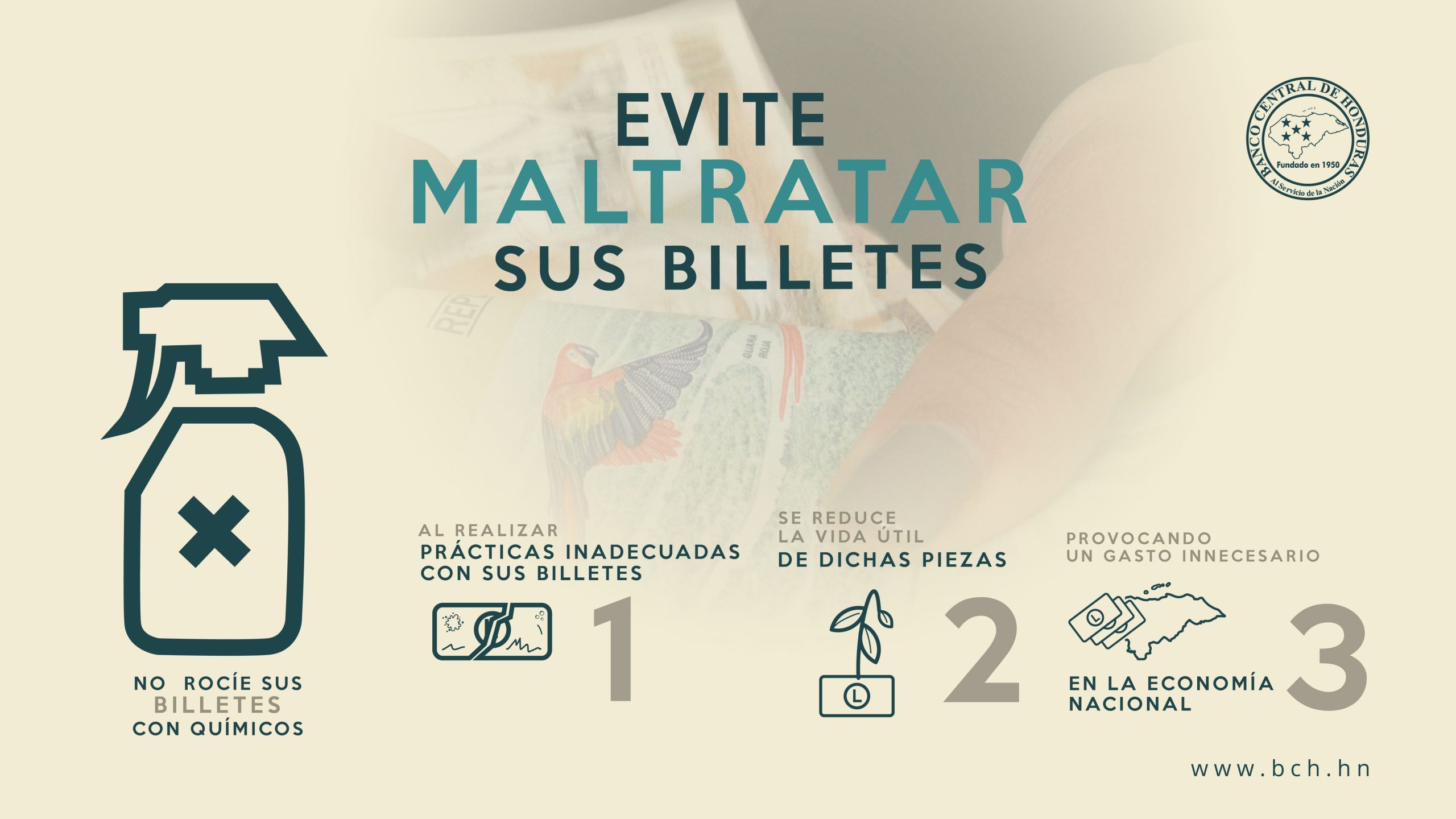 BCH recomienda no desinfectar los billetes para  evitar maltratarlos