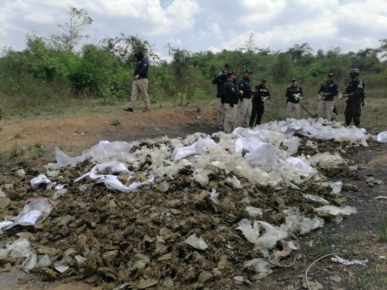 FESCCO y ATIC dirigen destrucción e incineración de 843 kilos de marihuana y 7 de cocaína en la zona norte FESCCO y ATIC dirigen destrucción e incineración de 843 kilos de marihuana y 7 de cocaína en la zona norte