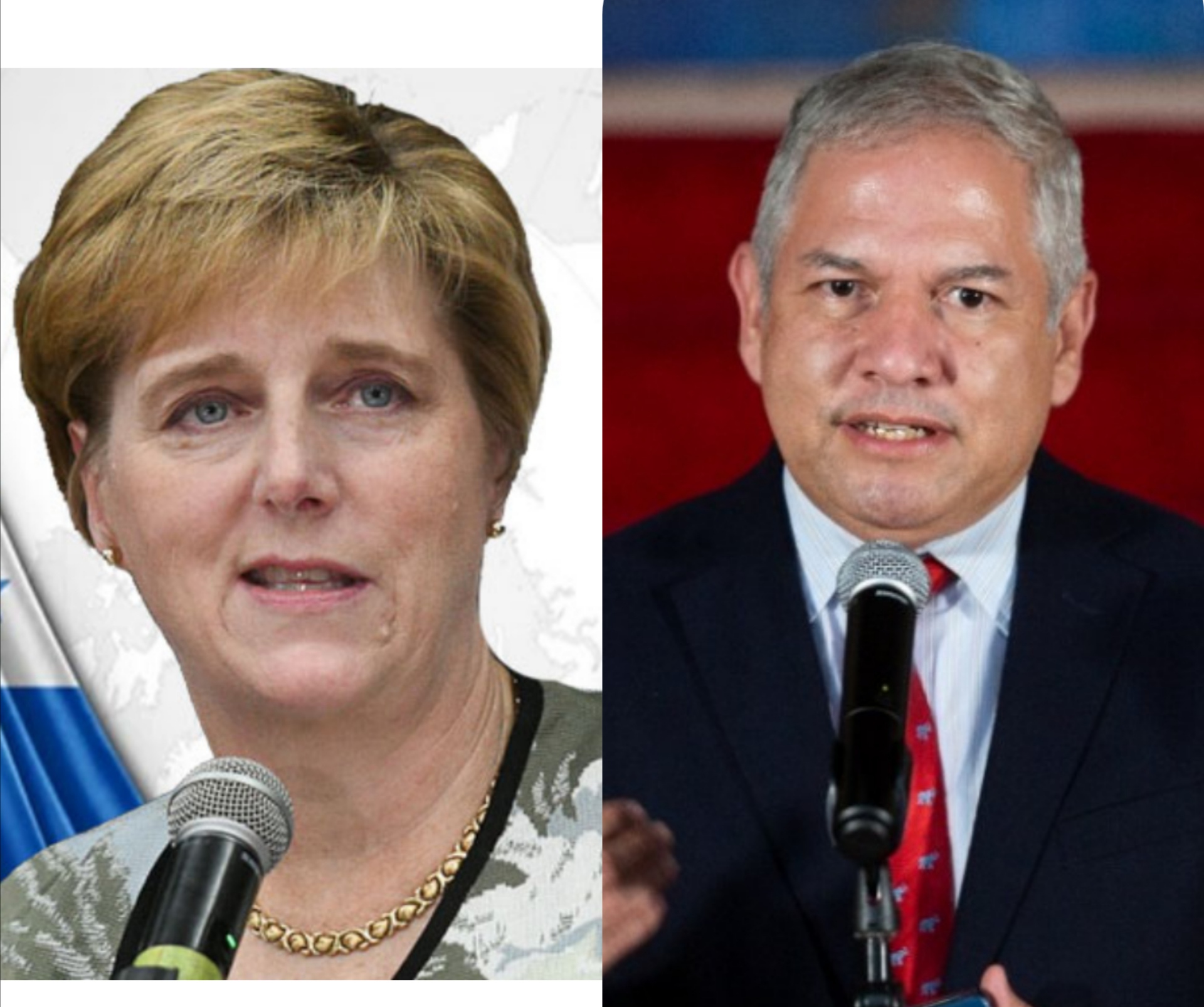 Canciller hondureño califica de desacertada la opinión de la embajadora de EEUU en relación a la reforma energética. Canciller hondureño califica de desacertada la opinión de la embajadora de EEUU en relación a la reforma energética.