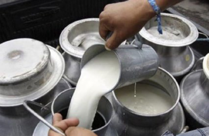 Industria y productores de leche acuerdan aumento de dos lempiras