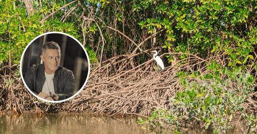 Alejandro Sanz apoyará reforestación de manglares en Honduras