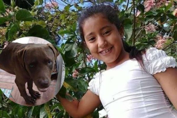 Descartan que niña de 9 años murió por mordeduras de perro en Lepaera, Lempira Descartan que niña de 9 años murió por mordeduras de perro en Lepaera, Lempira