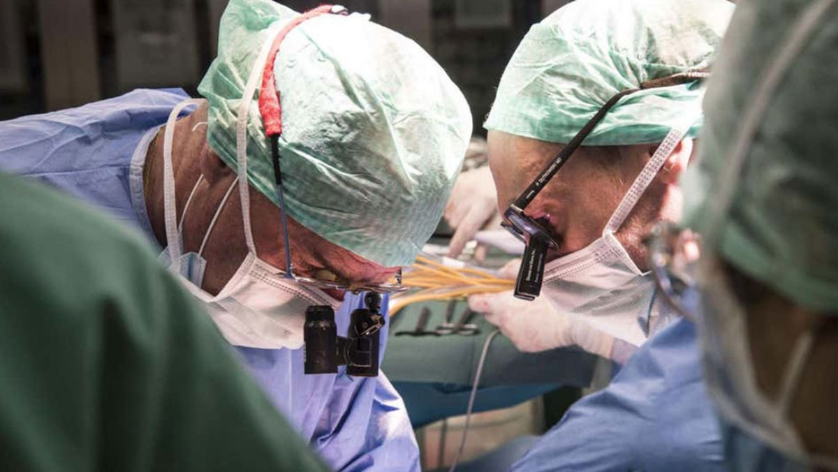 ¡Histórico! Por primera vez trasplantan un hígado humano conservado fuera del cuerpo durante 3 días