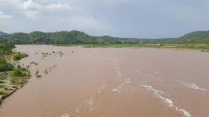 Debido a crecida del Río Úlua, plantaciones de platano y cañeras son inundadas en Pimienta, Cortés.