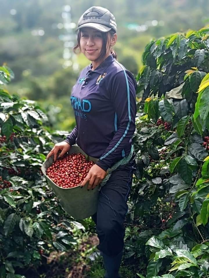 Más de 1,800 millones de lempiras para erradicar la pobreza e impulsar a la MIPYME y Empresas del Sector Social de la Economía Más de 1,800 millones de lempiras para erradicar la pobreza e impulsar a la MIPYME y Empresas del Sector Social de la Economía