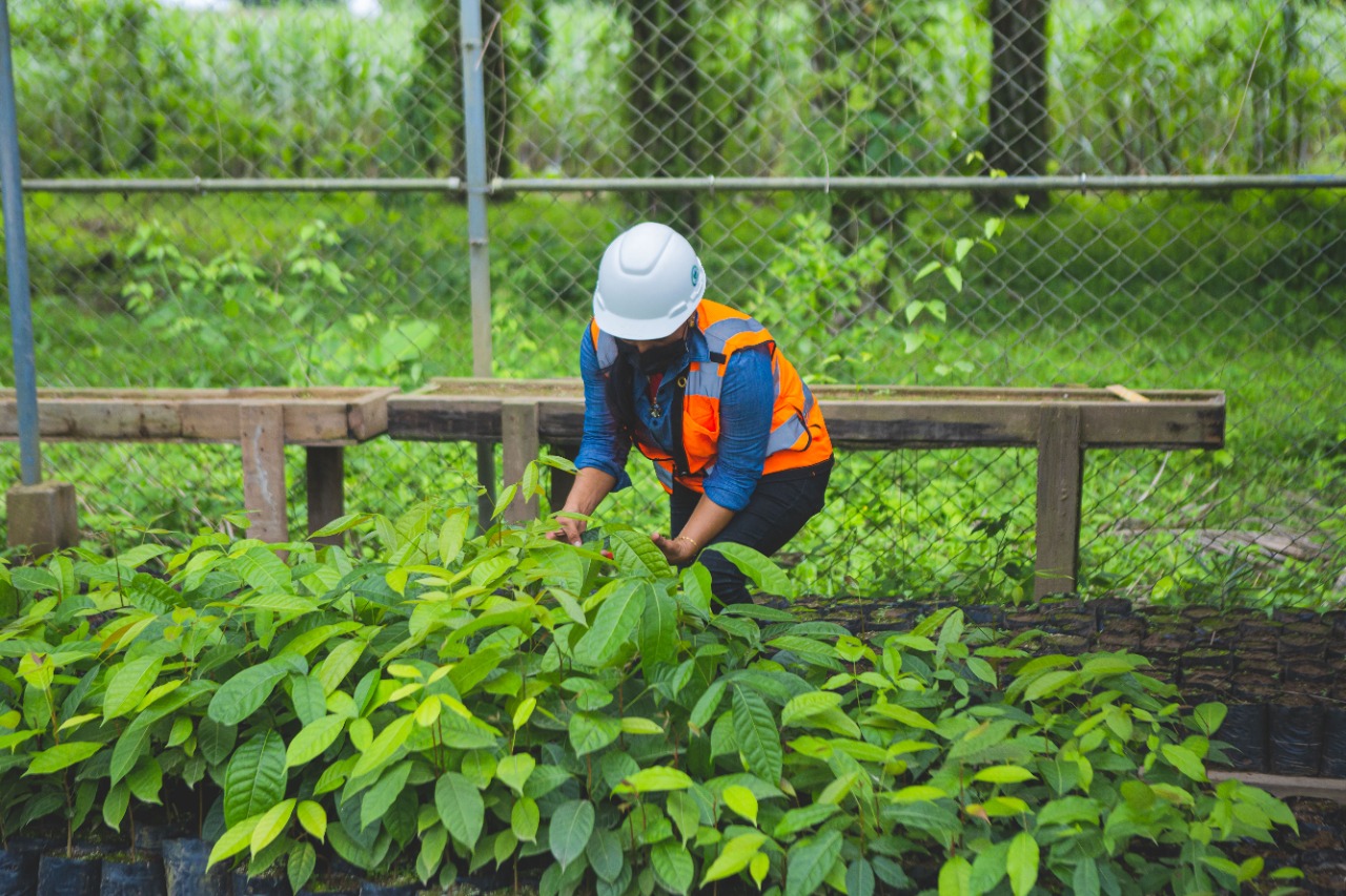 ONGs de ambiente y derechos humanos destacan responsabilidad ambiental de Inversiones Los Pinares en Tocoa ONGs de ambiente y derechos humanos destacan responsabilidad ambiental de Inversiones Los Pinares en Tocoa