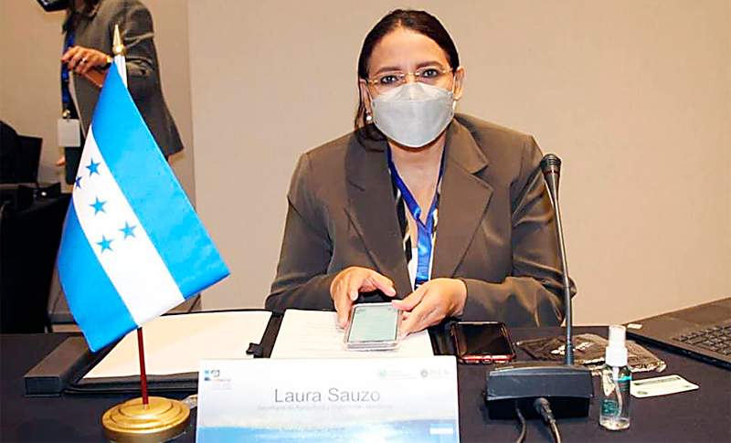 Según la SAG, ante declaratoria de emergencia lo urgente es fijar precio del frijol