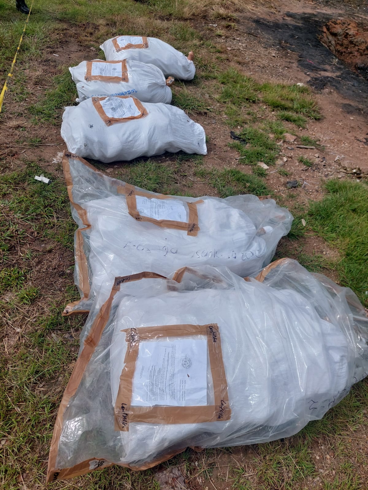 Condenan a 11 años de reclusión a distribuidores de marihuana.