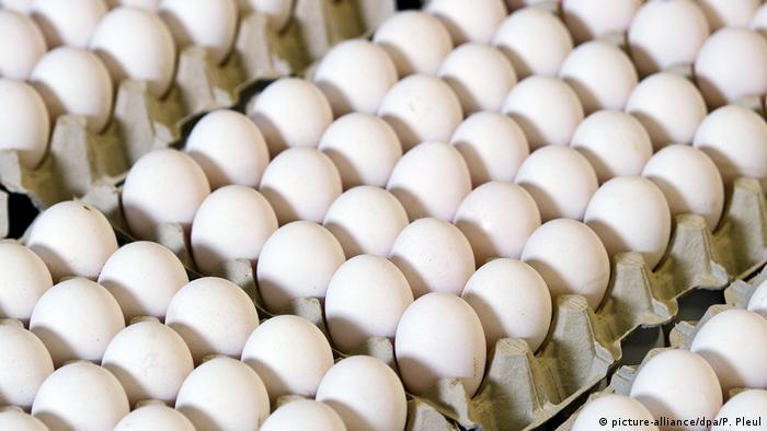 No hay justificación para incrementar precios de frijoles y huevos, informa la Secretaría de Desarrollo Económico